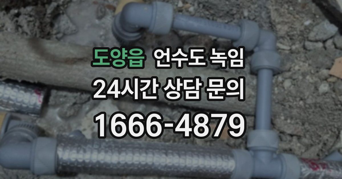 도양읍 언수도 녹임