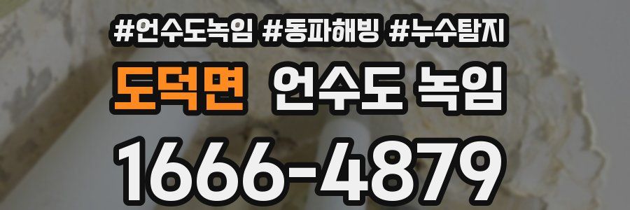 도덕면 언수도 녹임