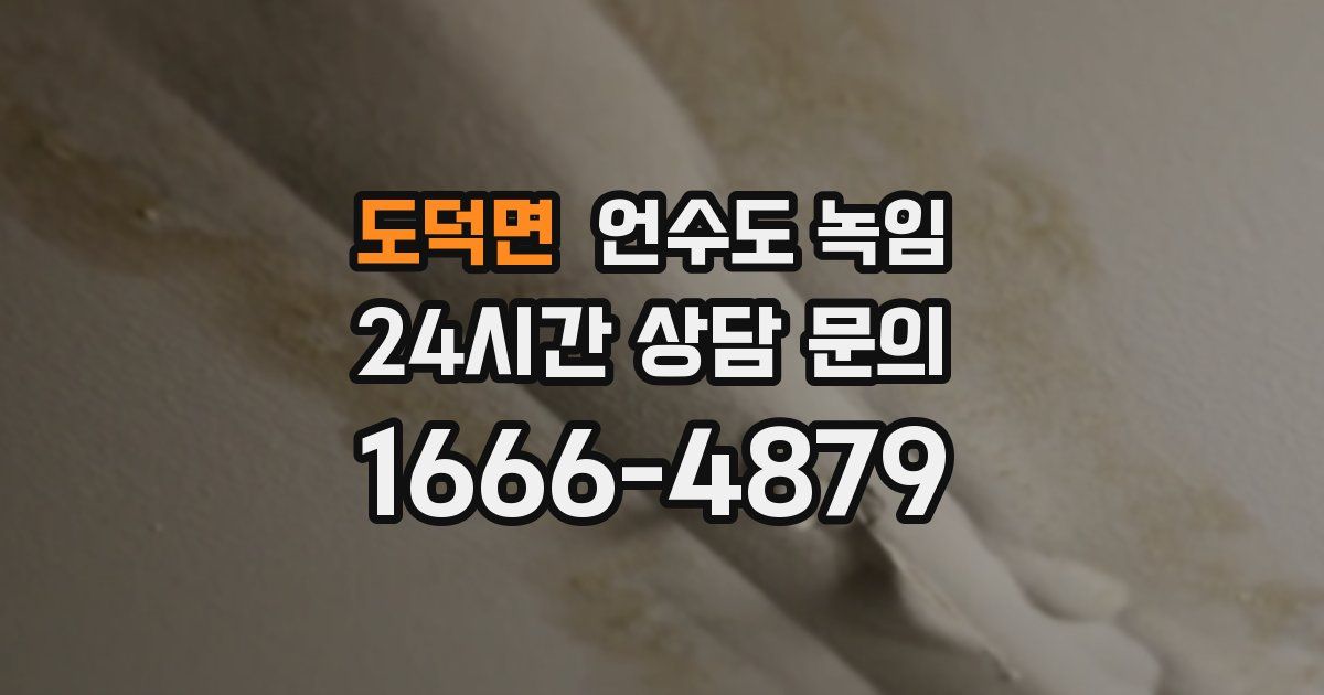 도덕면 언수도 녹임