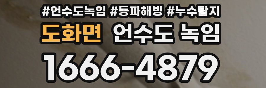 도화면 언수도 녹임