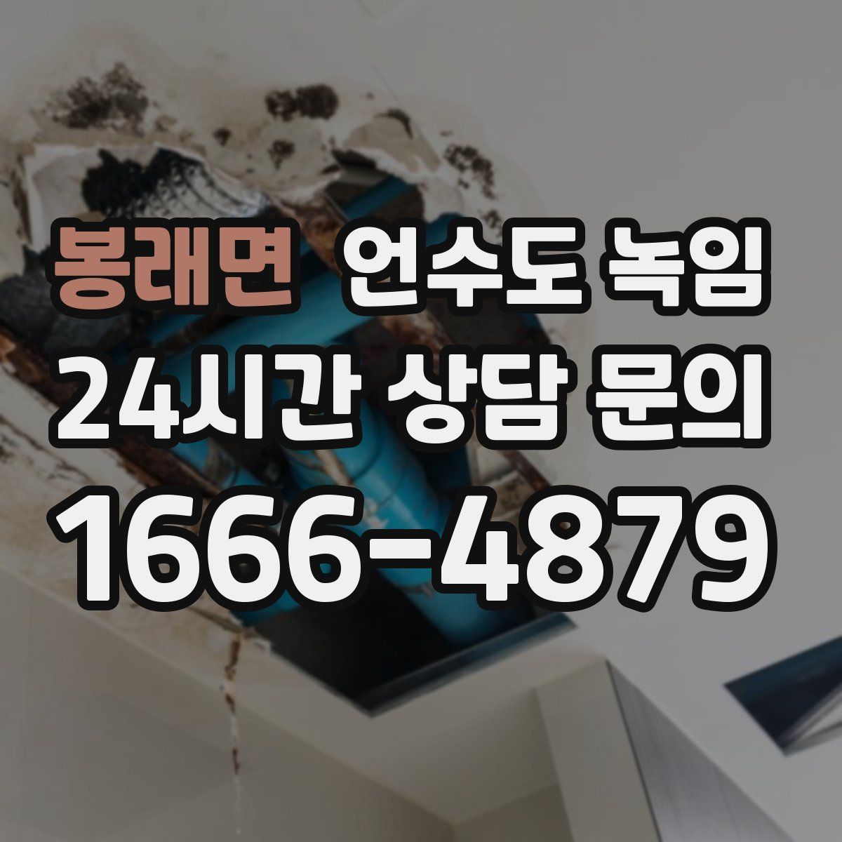 봉래면 언수도 녹임