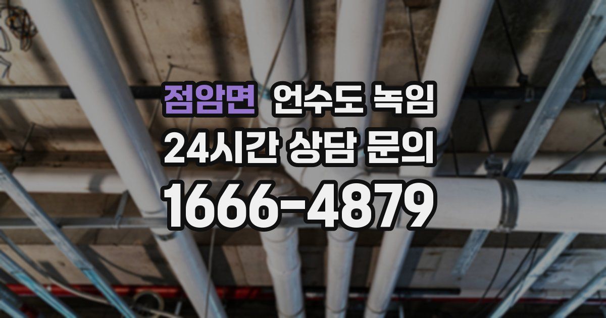 점암면 언수도 녹임