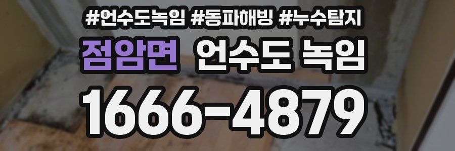 점암면 언수도 녹임