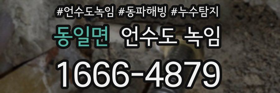 동일면 언수도 녹임