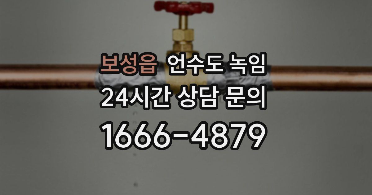 보성읍 언수도 녹임