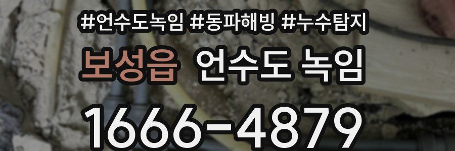 보성읍 언수도 녹임