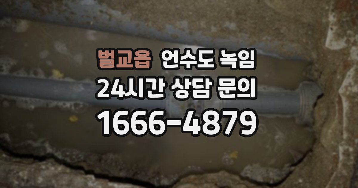 벌교읍 언수도 녹임