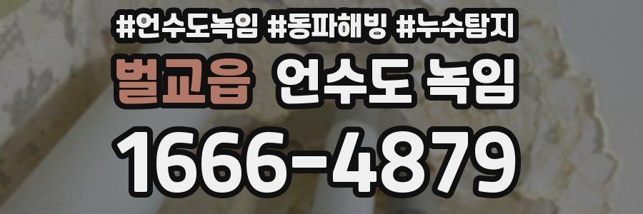 벌교읍 언수도 녹임