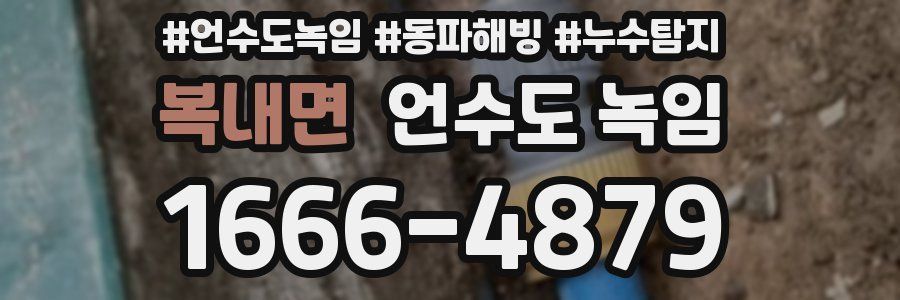 복내면 언수도 녹임