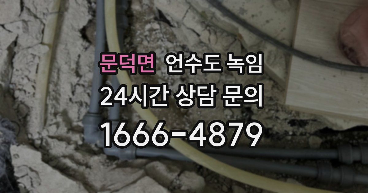 문덕면 언수도 녹임