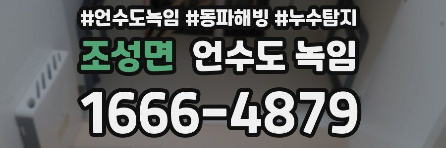 조성면 언수도 녹임