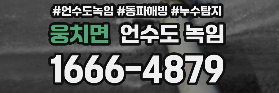 웅치면 언수도 녹임