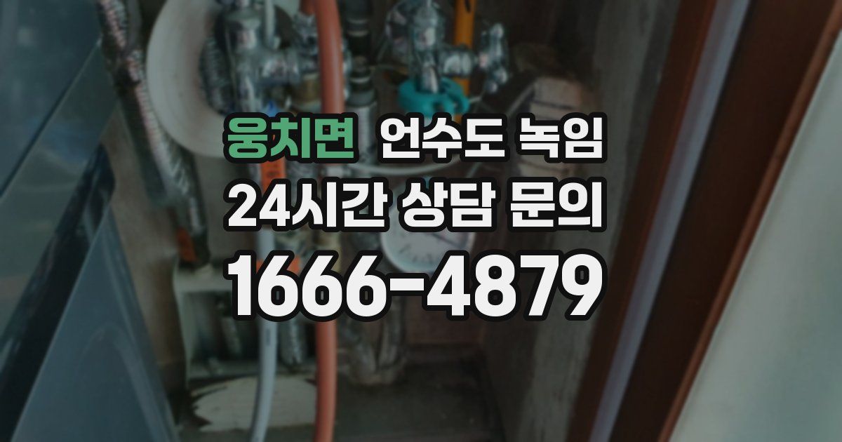 웅치면 언수도 녹임