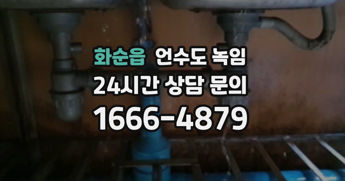 화순읍 언수도 녹임