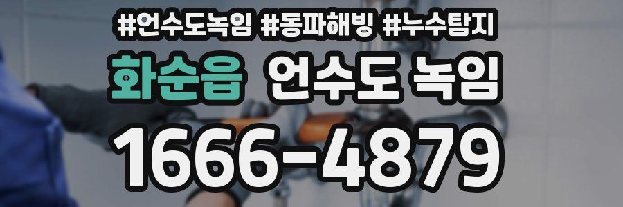 화순읍 언수도 녹임