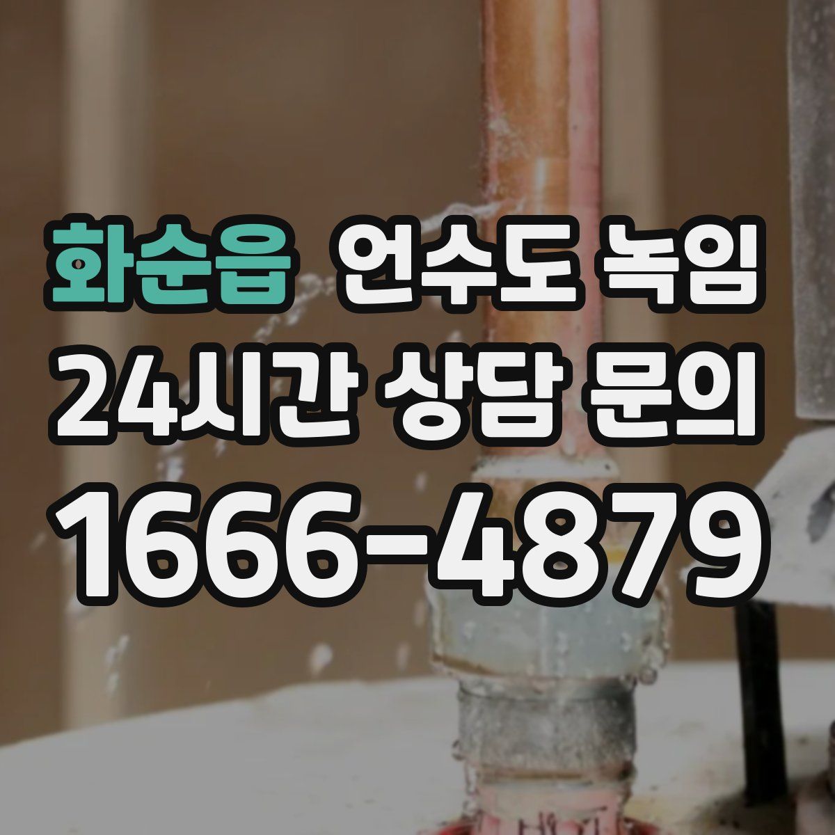 화순읍 언수도 녹임