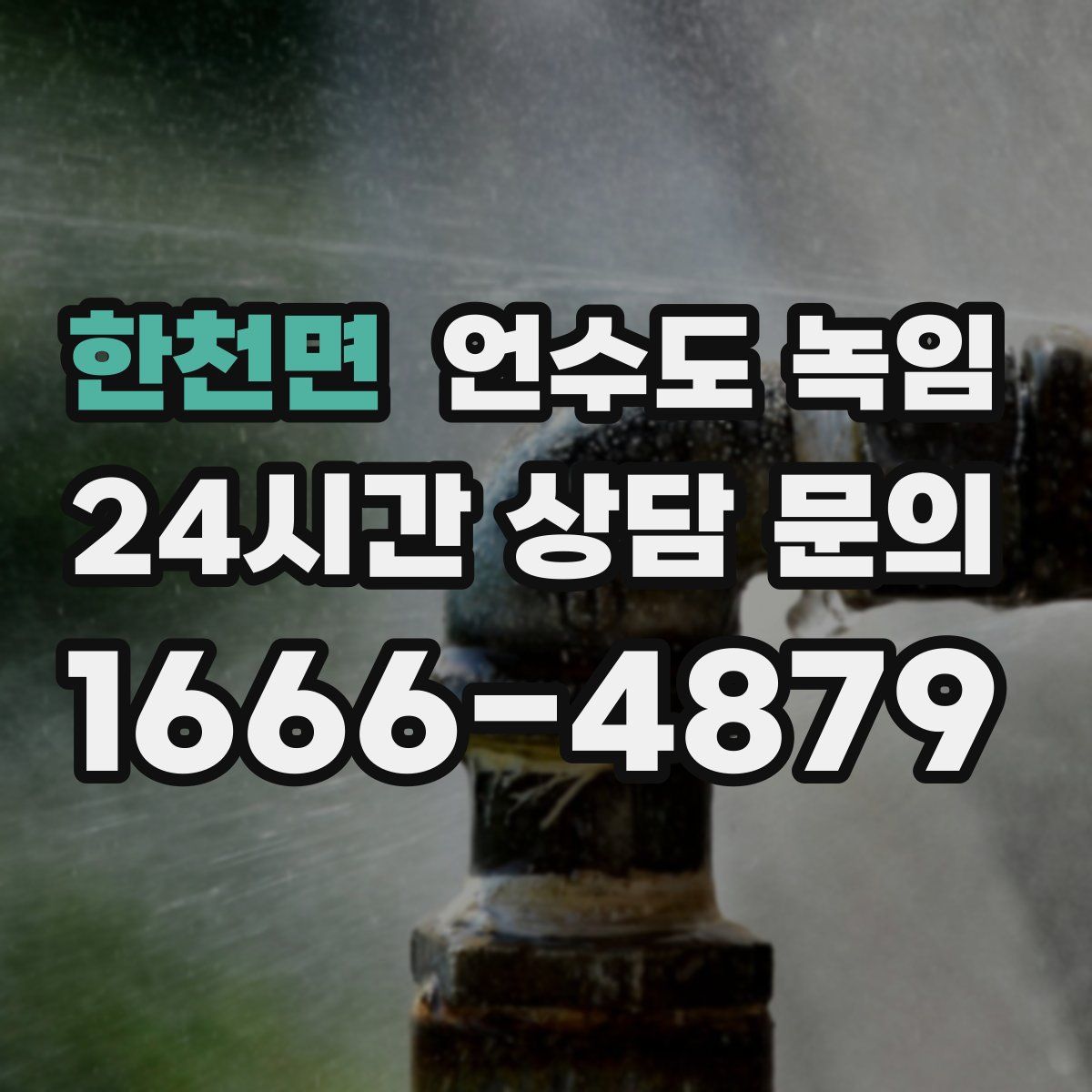 한천면 언수도 녹임