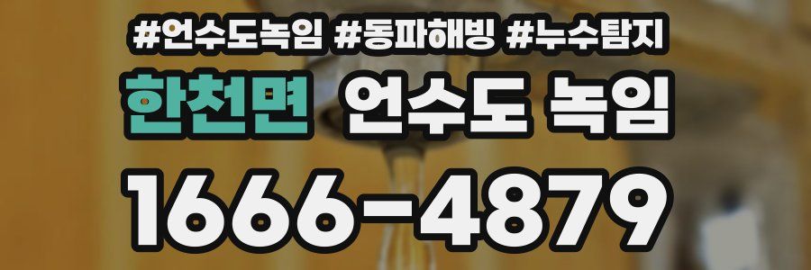 한천면 언수도 녹임