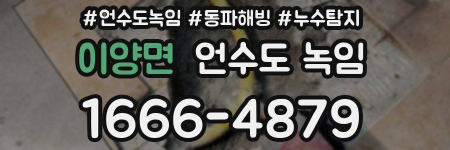 이양면 언수도 녹임