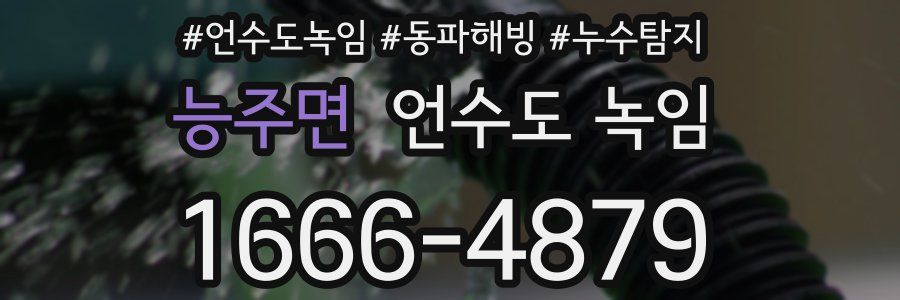 능주면 언수도 녹임