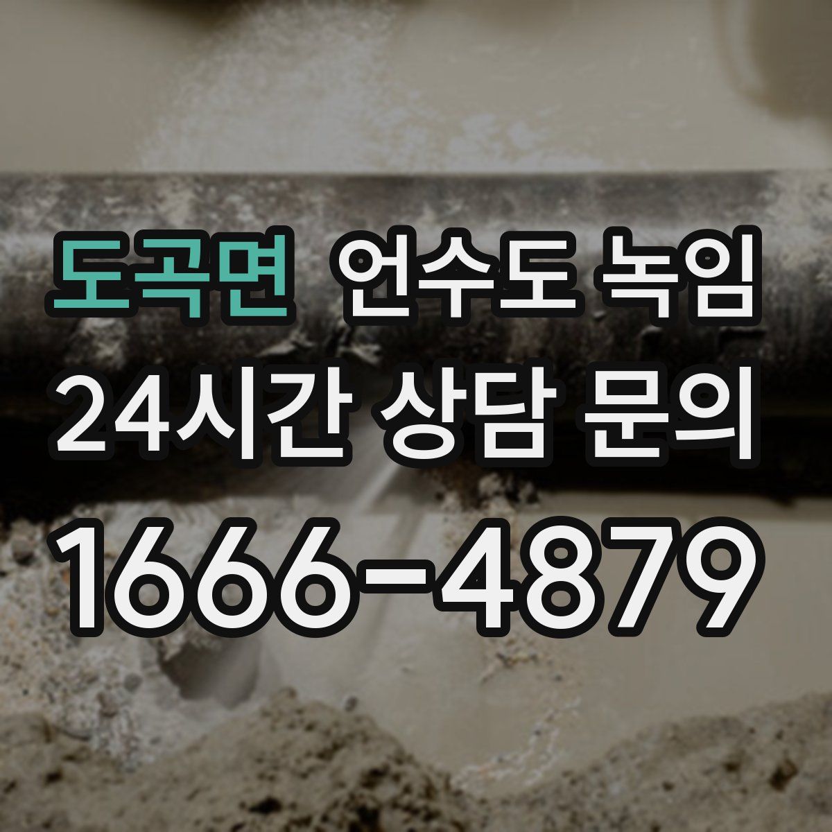 도곡면 언수도 녹임