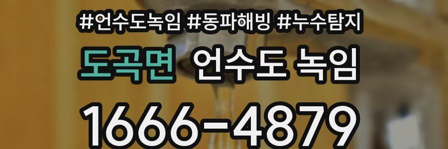 도곡면 언수도 녹임