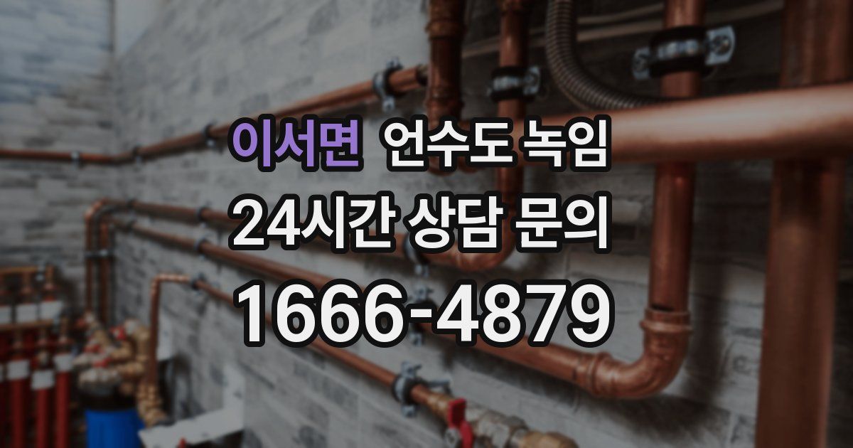 이서면 언수도 녹임