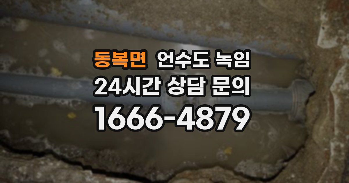 동복면 언수도 녹임