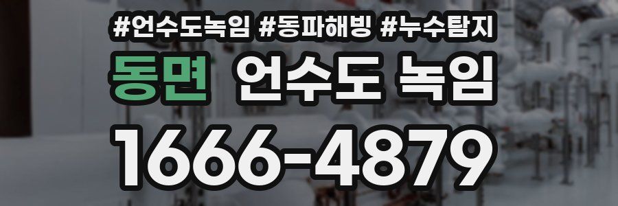 동면 언수도 녹임