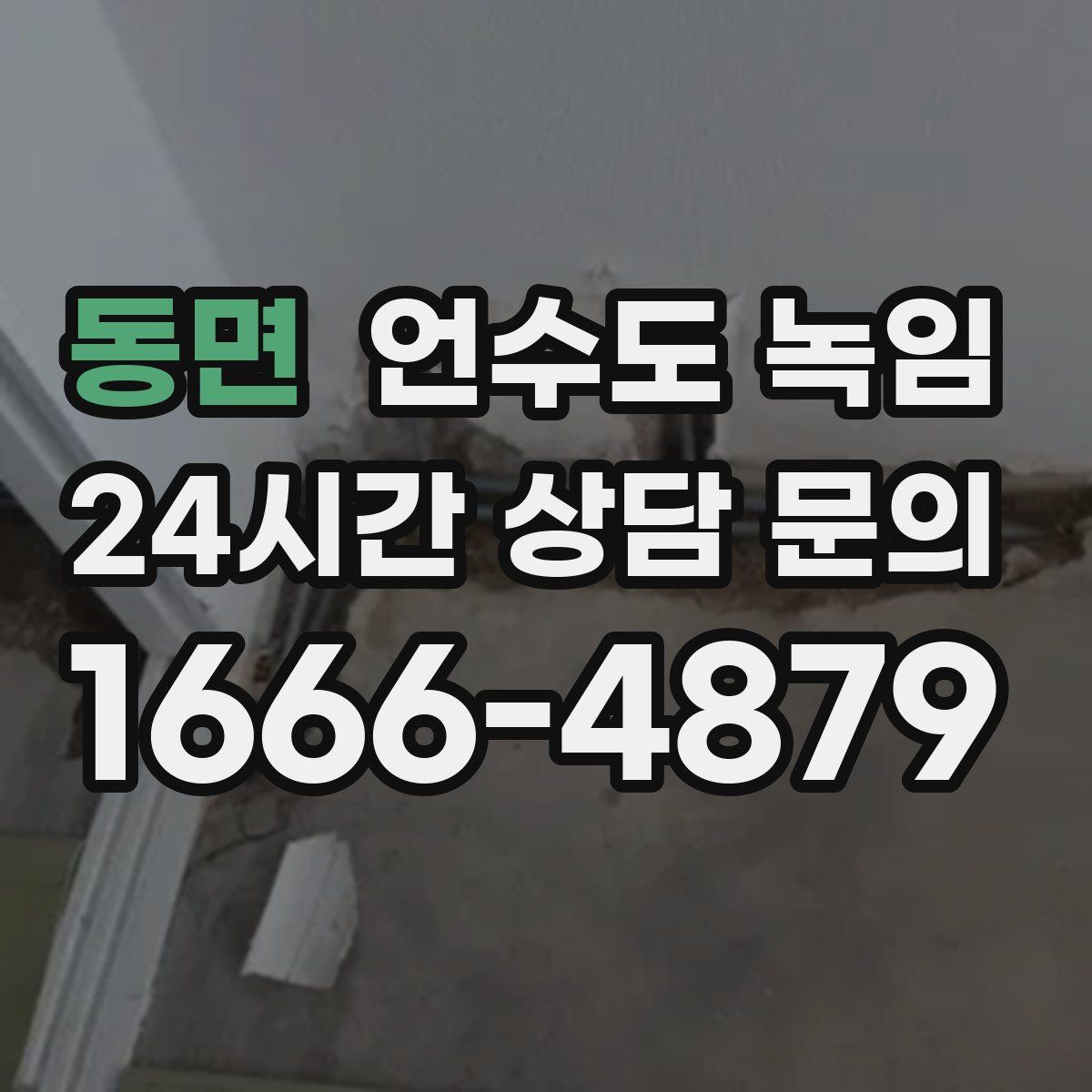 동면 언수도 녹임