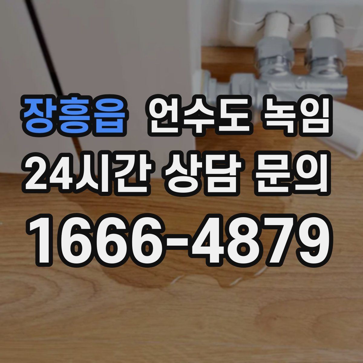 장흥읍 언수도 녹임 냉수 온수 비교로 결빙 지점 찾기