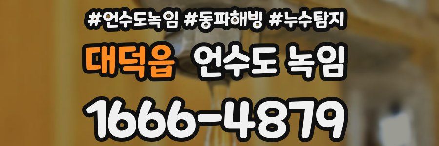 대덕읍 언수도 녹임