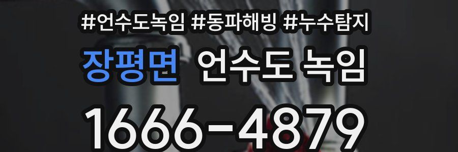 장평면 언수도 녹임