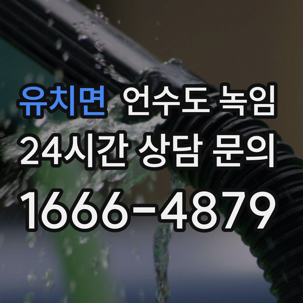 유치면 언수도 녹임