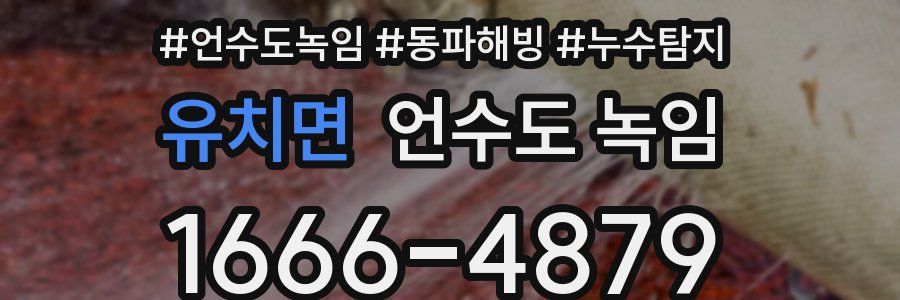 유치면 언수도 녹임