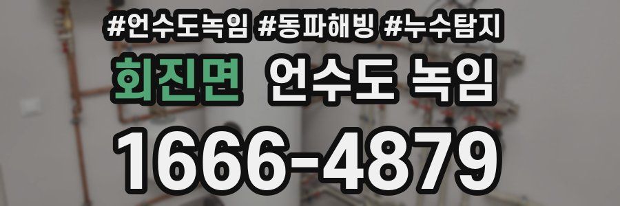 회진면 언수도 녹임