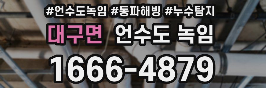 대구면 언수도 녹임