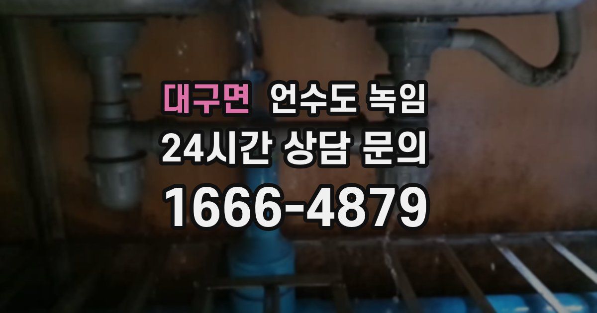 대구면 언수도 녹임