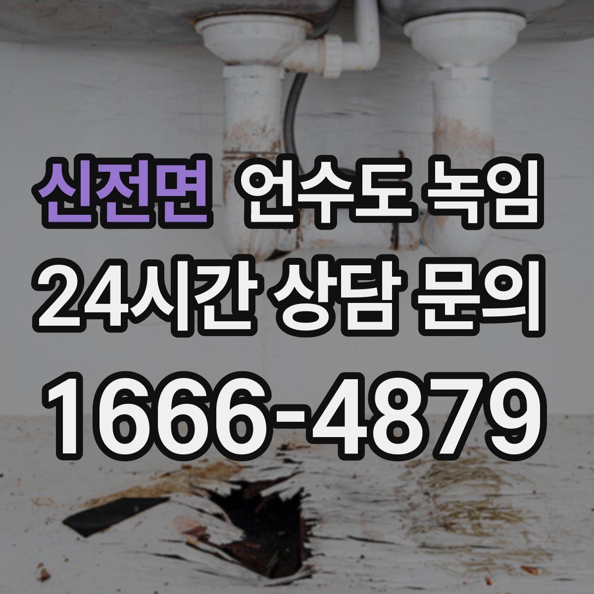신전면 언수도 녹임