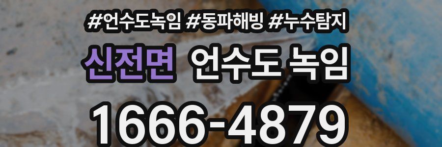 신전면 언수도 녹임