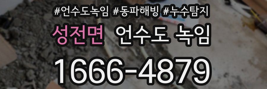 성전면 언수도 녹임