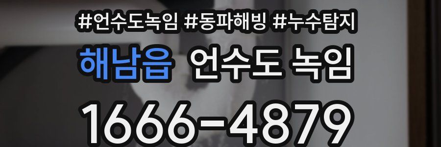 해남읍 언수도 녹임