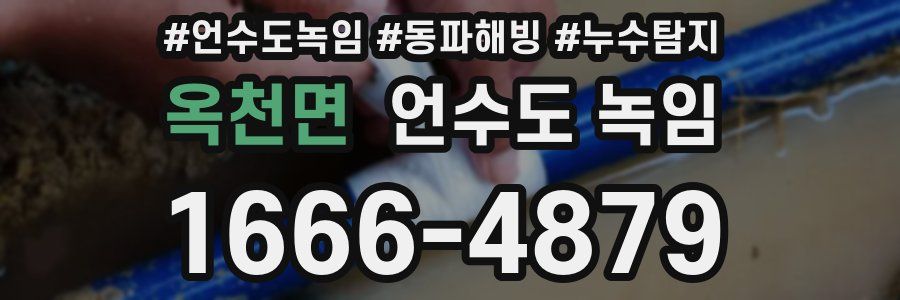 옥천면 언수도 녹임