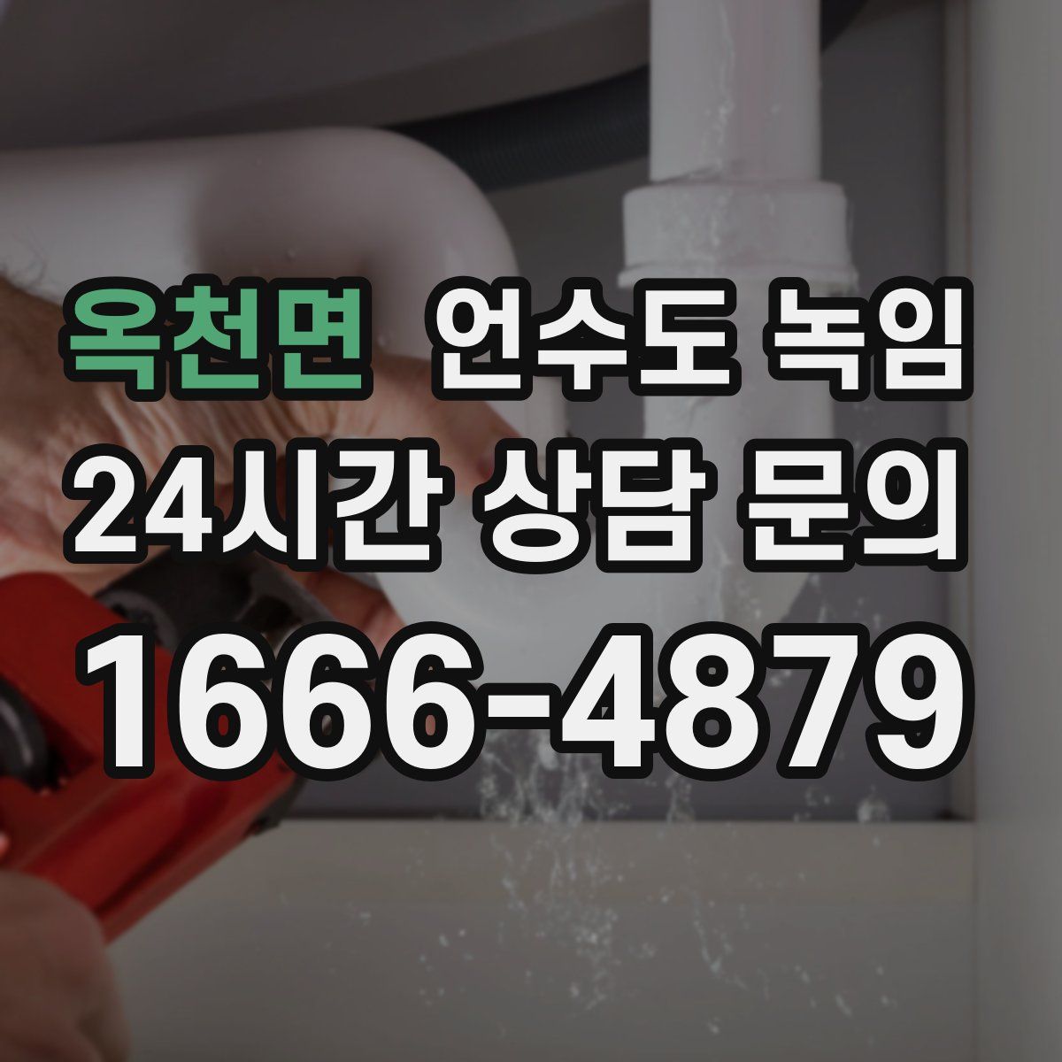 옥천면 언수도 녹임