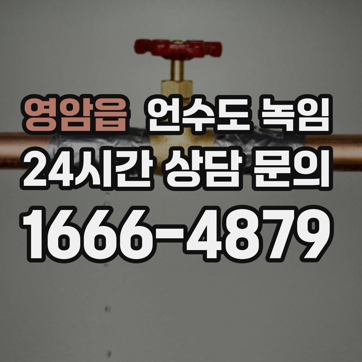 영암읍 언수도 녹임 온수만 안 나올 때와 냉수도 안 나올 때 차이