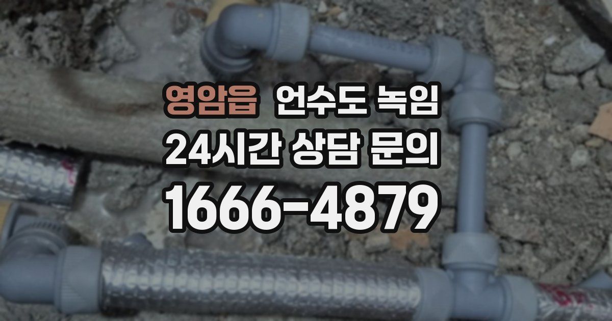 영암읍 언수도 녹임