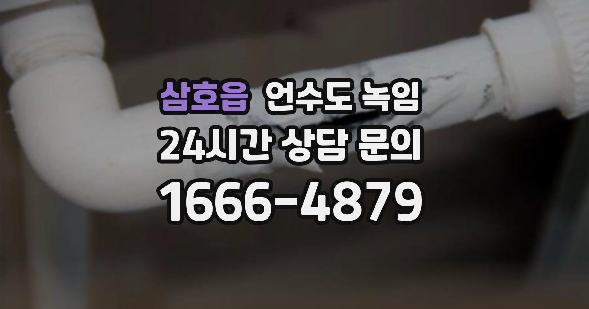 삼호읍 언수도 녹임