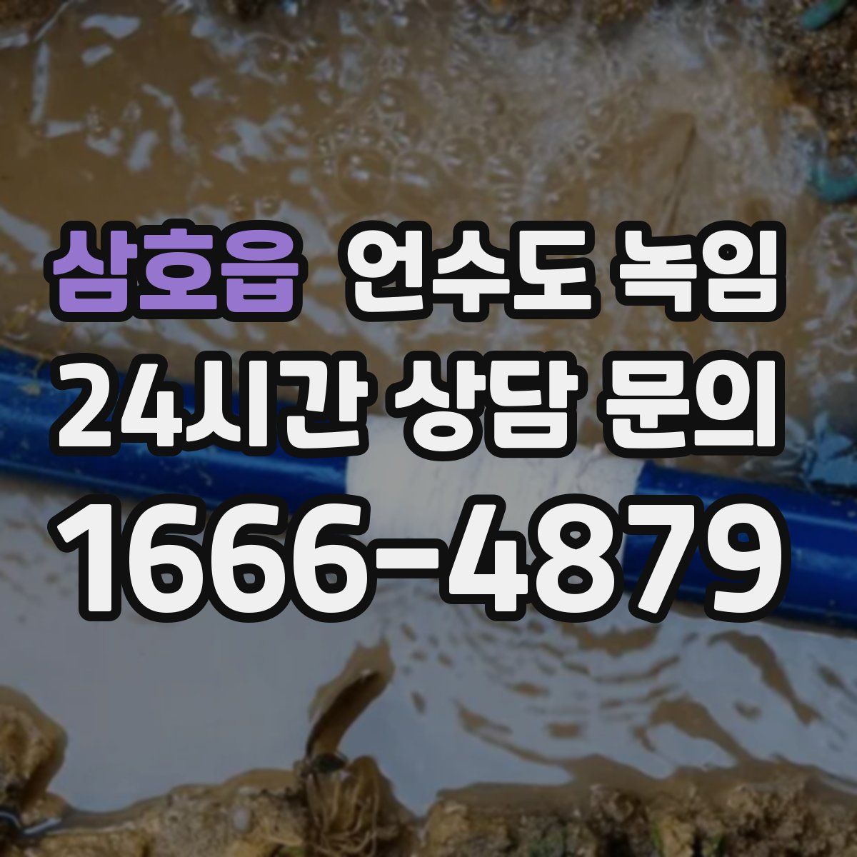 삼호읍 언수도 녹임