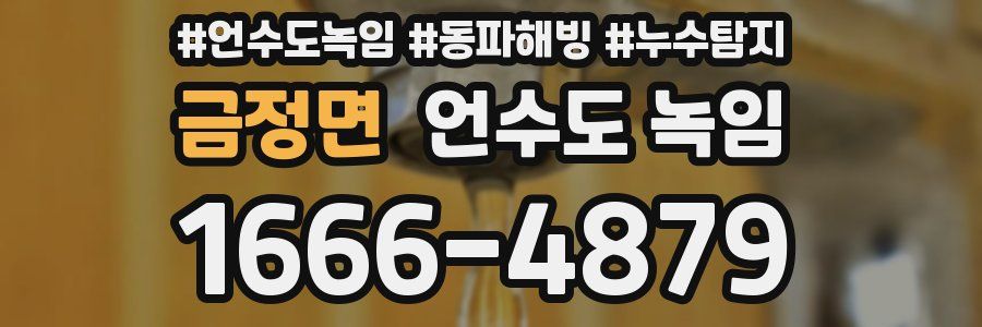 금정면 언수도 녹임