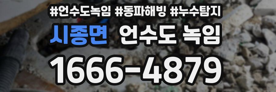 시종면 언수도 녹임